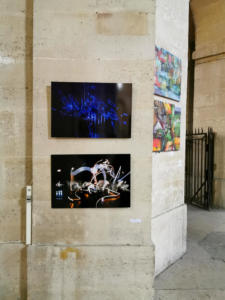 rezine-69-light-and-bug-art-chapelle-saint-louis-exposition-stret-art-a-l-hopital-2-pitie-salpetriere-collectif-avc